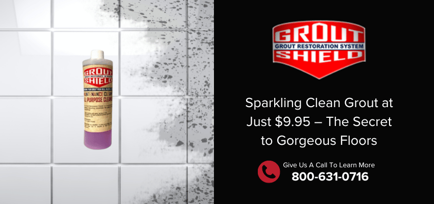 Grout Cleaner For Only $9.95